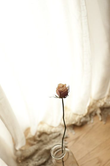 _DSC3433 copia